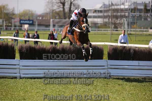 ET0Q0910 prot